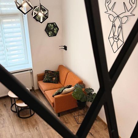 Apartamenty Dream Place Z Klimatyzacja Stary Toruń Extérieur photo