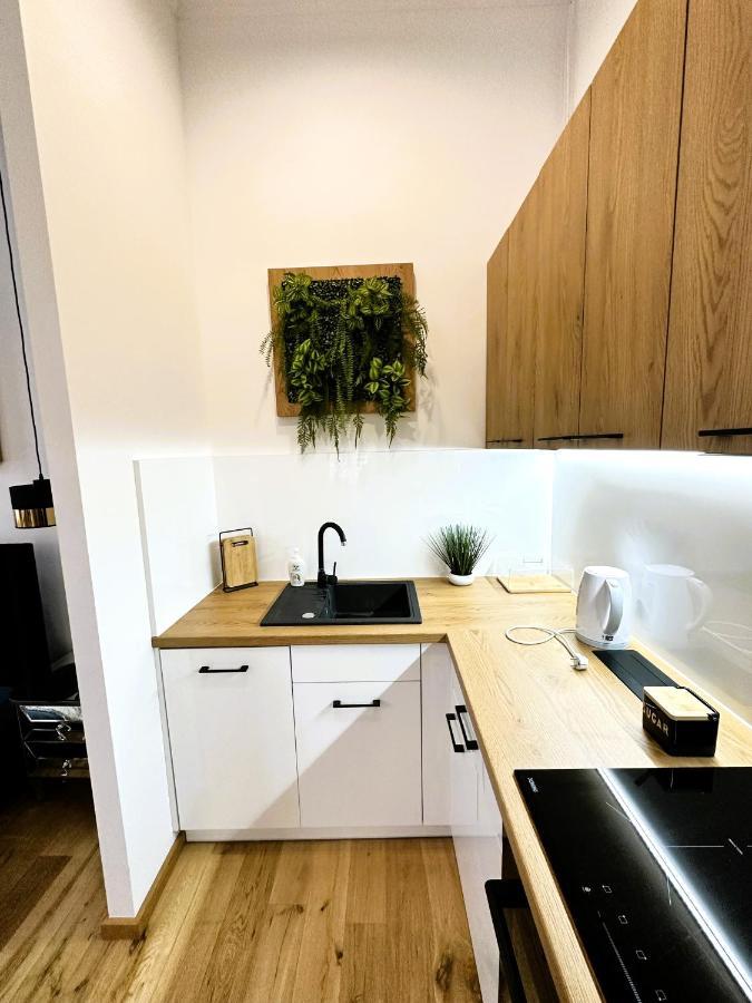 Apartamenty Dream Place Z Klimatyzacja Stary Toruń Extérieur photo